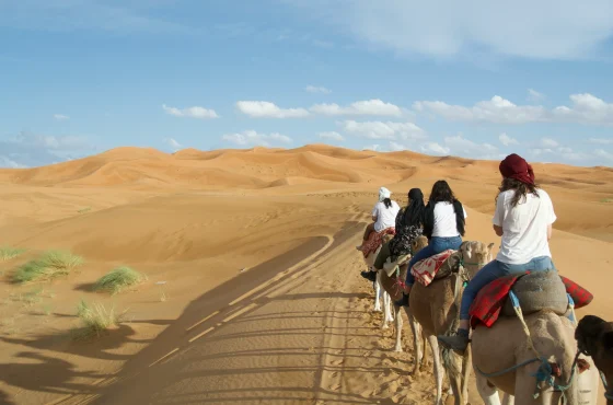 Magical 7 Day Morocco Tour Journey From Casablanca To Marrakech