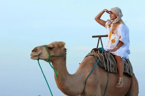 Thrilling Agafay Desert Day Trip with Camel Ride