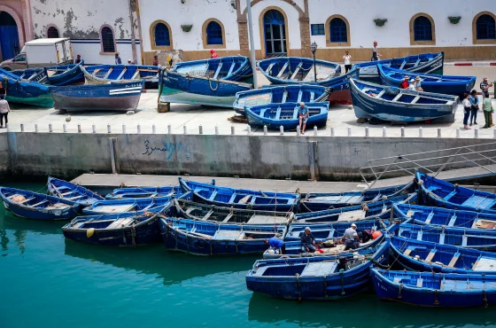 Thrilling Day Trip from Marrakech to Essaouira