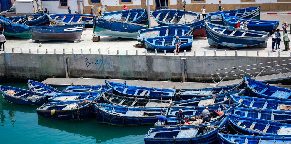 Day trip from Marrakech to Essaouira with coastal views