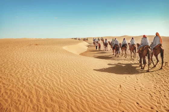 Immersive 5 Days Marrakech to Fes Desert Tour