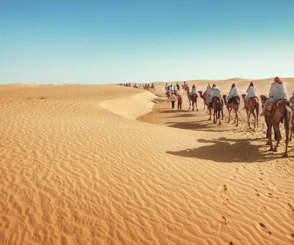 Immersive 5 Days Marrakech to Fes Desert Tour