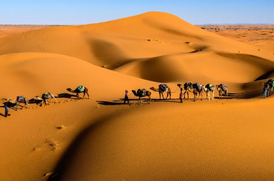 Amazing Morocco itinerary 7 days from Tangier to Marrakech