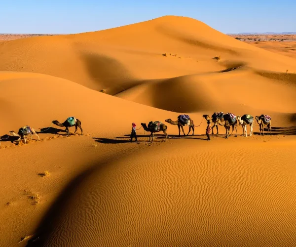 Amazing Morocco itinerary 7 days from Tangier to Marrakech
