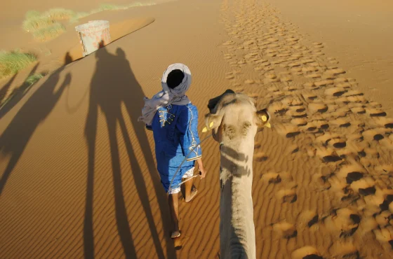 Stunning 3 day trip from Marrakech to Fes tour